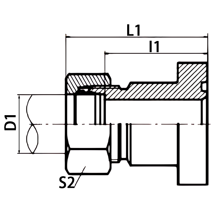 1DFL-W-RN SAE standard flange, professional hydraulic adapters for industrial fluid circuits