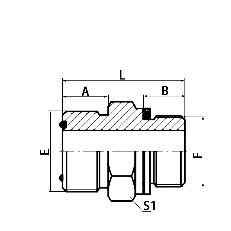 1FG ORFS to BSP male O-ring ORFS hydraulic adapters