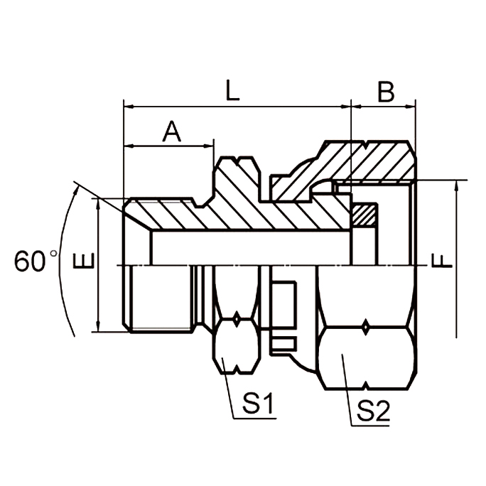 2B-G BSP Adapters, BSP male 60° seat to BSP female for pressure gauge connection in hydraulic systems
