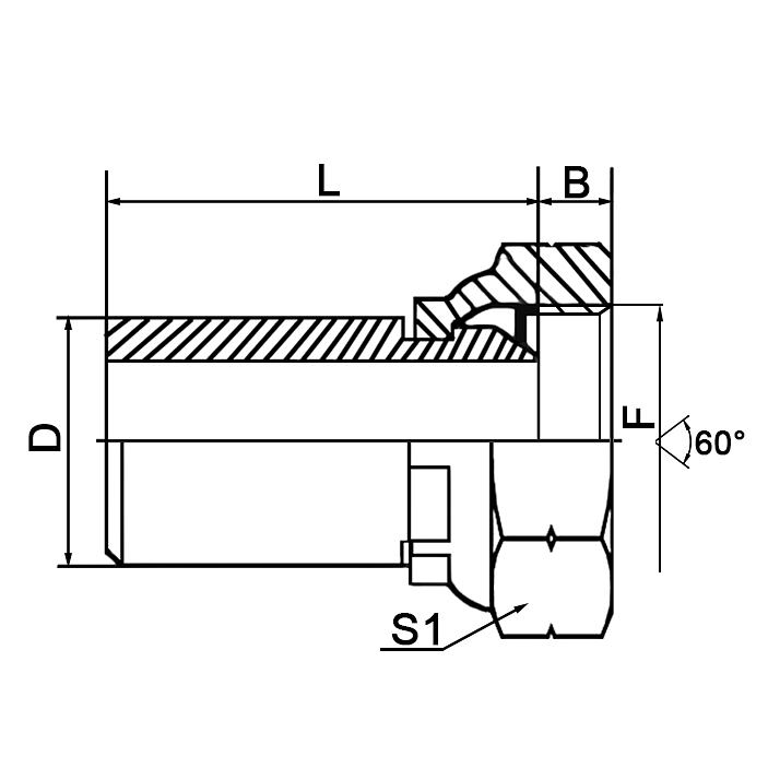 2BW Butt-Weld Tube BSP Female 60° Cone Hydraulic Adapter