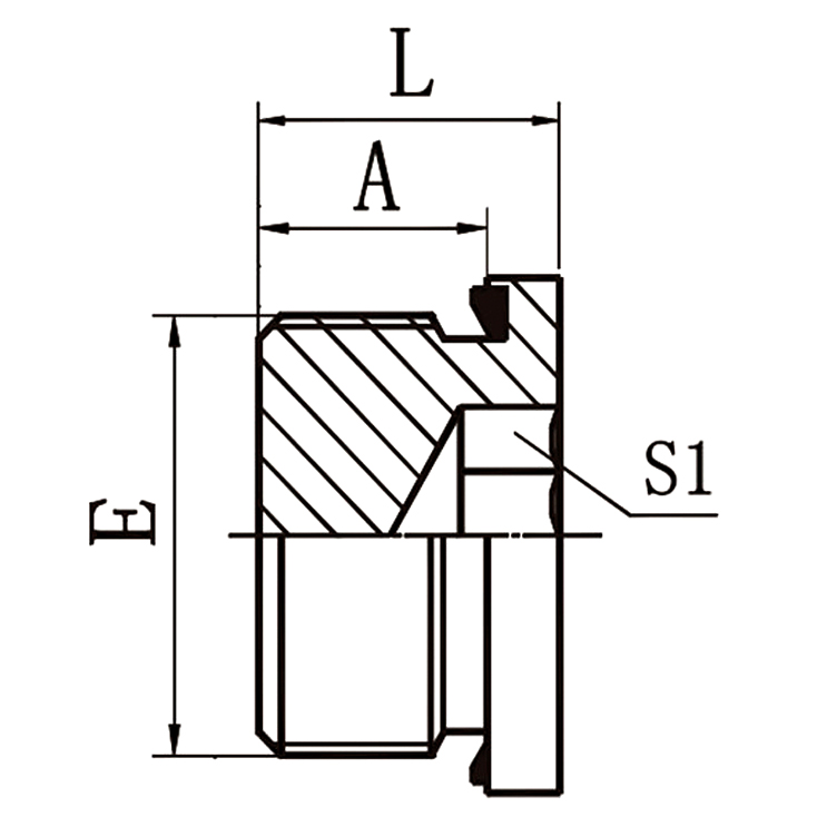 4BN-WD BSP Male Captive Seal Hollow Hex Plug