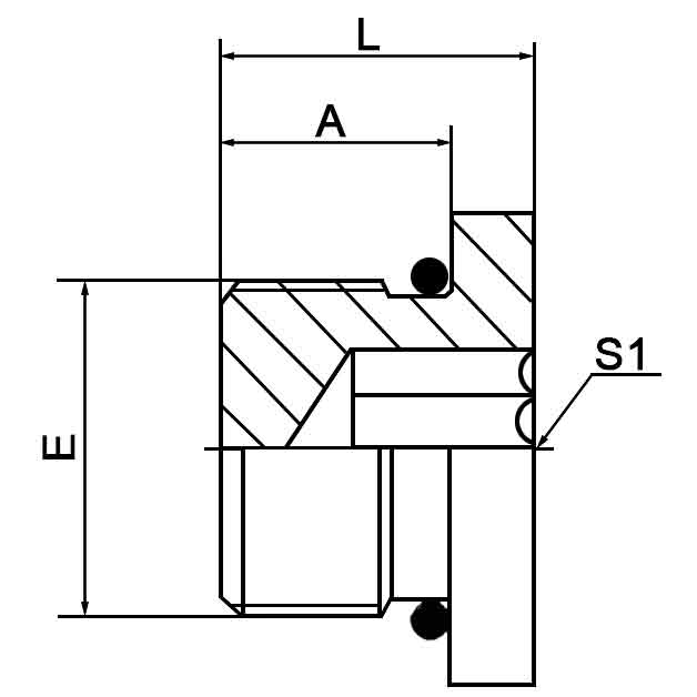 4ON AE hex drive port component, L-Series ISO 11926-3 compliant
