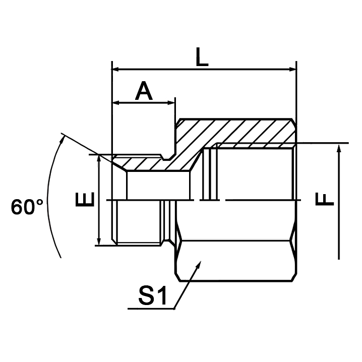 5BT BSP Male to BSPT Female Dual Seal Hydraulic Adapter