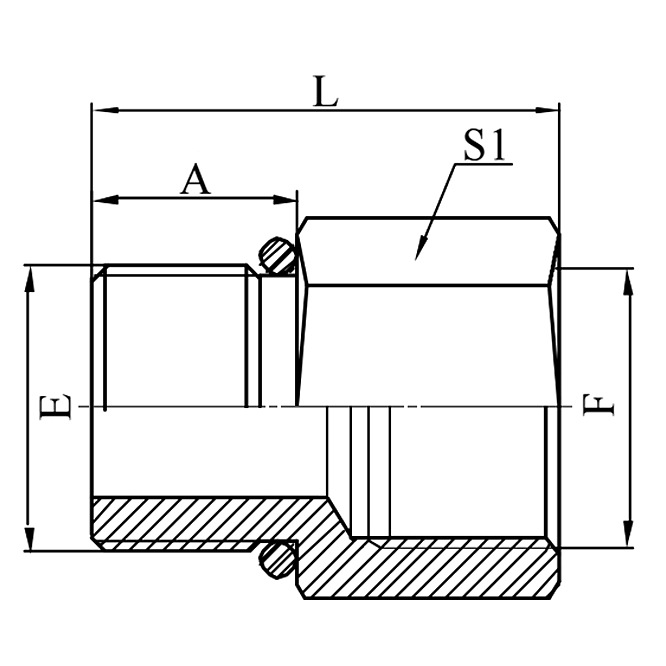 5GB BSP Male O-Ring BSP Female ISO 1179 Adapter