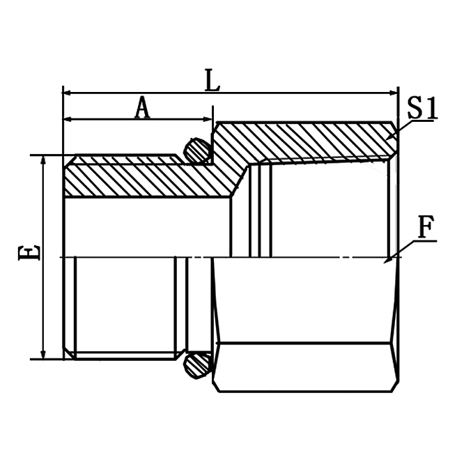 5GT BSP Male O-Ring to BSPT Female 60°Cone Adapter