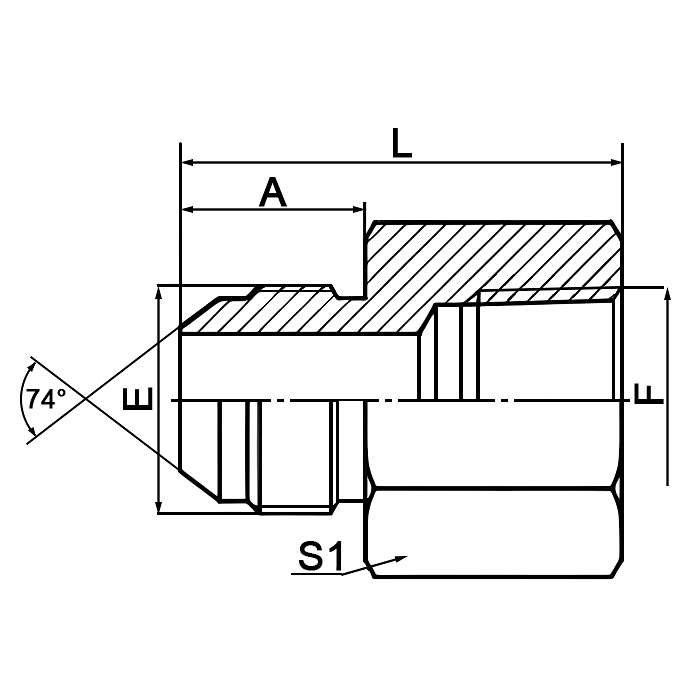5JT JIC Male to BSPT Female 74° Cone Hydraulic Adapter